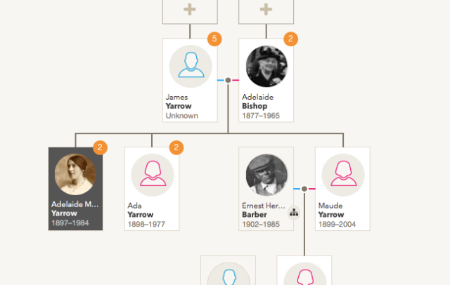 Family tree showing FindMyPast Hints